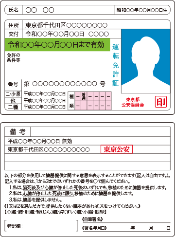 運転免許証のサンプル