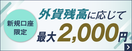 新規口座限定 外貨残高に応じて最大2,000円