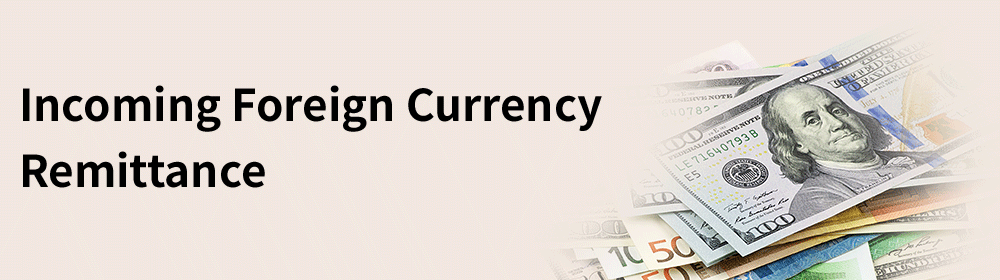 Incoming Foreign Currency Remittance