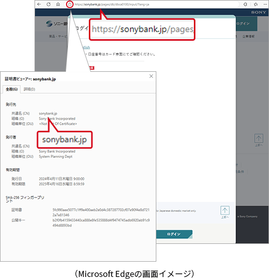 サイト情報の表示マークからのデジタル証明書確認例　Microsoft Edgeの画面イメージ