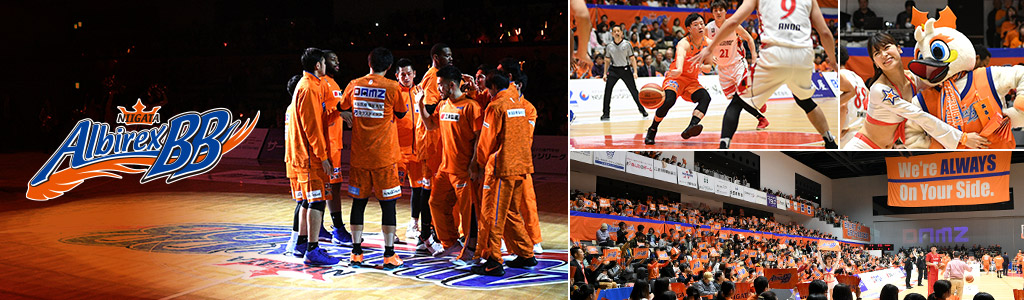 事業概要イメージ