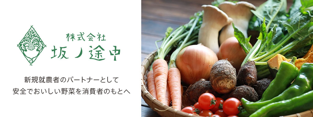 新規就農者のパートナーとして安全でおいしい野菜を消費者のもとへ
