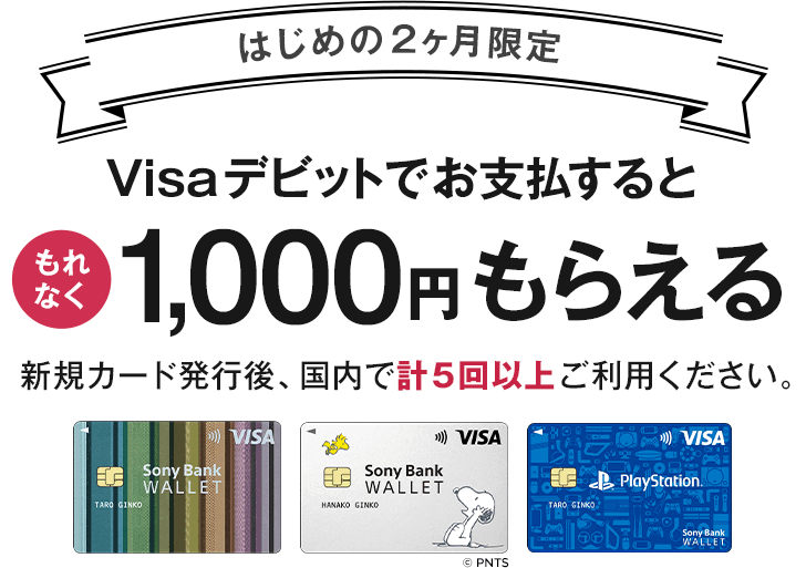 国内Visa加盟店で5回以上のご利用でもれなく1,000円プレゼント｜Sony