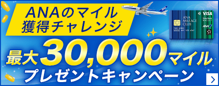 ANAのマイル獲得チャレンジ 最大30,000マイルプレゼントキャンペーン